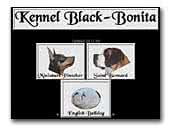 Black-Bonita Miniature Pinschers Kennel