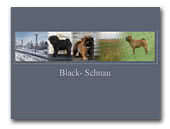 Black-Schnau