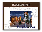 Blosssomstaff kennel of AST