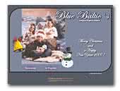 Blue Baltic`s English Setter Kennel