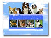 Australian Shepherd and Welsh Corgi Pembroke Blue Crazy Breeze