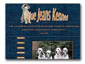 Blue Jeans English Setters