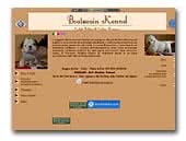 Golden Retrievers Kennel Boatswain