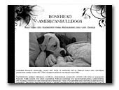Bonehead American Bulldogs