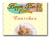 Boppin Box Poodles