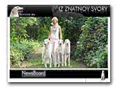 Iz Znatnoy Svory Barzois