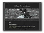 Boxersmalta.com - Black Onyx
