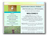 Spettacolare Bracchi Italiani