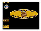 Brahma Bulls American Bulldogs