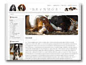 Basset Hound kennel Brynmor