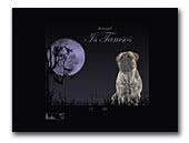 Bullmastiffs kennel Is Tamsos