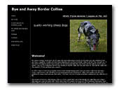 Bye and Away Border Collies