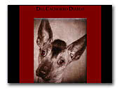 Del Cachorro Diablo