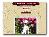 Caldecacre Dalmatians