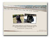 Cane Corso Italiano Some Place Else
