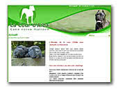 Cane Corso Italiano de La Cour d'Aida