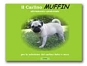 Il Carlino Muffin