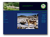 Czechoslovakian Wolfdog Castell del Senillar