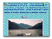 Chestnut Creek Labrador Retrievers
