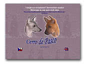 Peruvian Hairless Dog and Thai Ridgeback Dog Cerro de Pasco