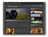 Chaitan Legend Chow Chows Kennel