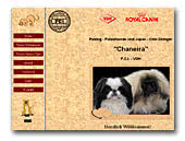 Japan Chin und Pekingese Kennel - Chaneira VDH/FCI