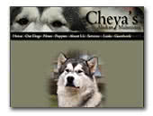 Alaskan Malamutes Cheya's