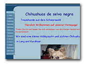 Chihuahuas of Black Forest