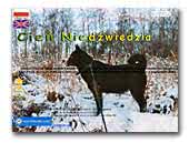 Cień Niedźwiedzia Karelian Bear Dog