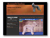 Bedlington Terriers Kennel Cimisa