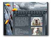 Chovatelské stanice Nanga Parbat and Jirkovská Osada Kennel