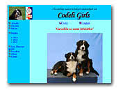 Kennel of berner mountain dog Codeli girls