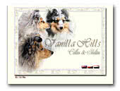 Vanilla Hills Collie Rough & Shetland Sheepdog