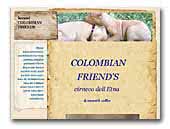 Cirneco dell'Etna Colombian Friend's