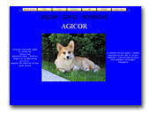 Agicor Welsh Corgi Pembroke