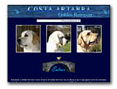 Costa Artabra Golden Retriever