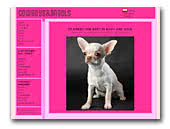 Cowboys snd Angels Chihuahua and Staffordshire Bull Terriers