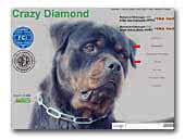 Crazy Diamond Kennel