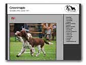 Crownmaple English Cocker Spaniels Kennel