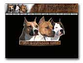Daft Raptors Kennel American Staffordshire Terrier