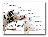 of Wolfcubs Dalmatian Kennel FCI