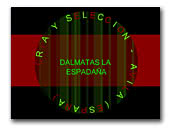 Dalmatas la espadaña
