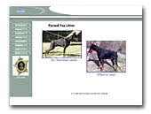 DamRoyal Dobermann kennel