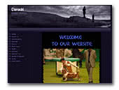 Basset Hound kennels Danadri
