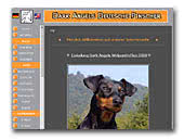 Deutscher Pinscher Dark Angels Kennel