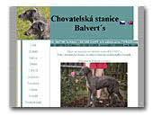 Deerhound kennelBalvert's