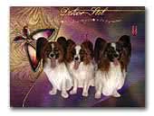 Dekor-Stil Papillon Kennel