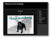 DeLand French Bulldogs