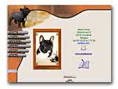 French Bulldogs  Kennel de
Noire Béatitude