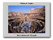 Neapolitan Mastiffs Des Colosses du Vivarais